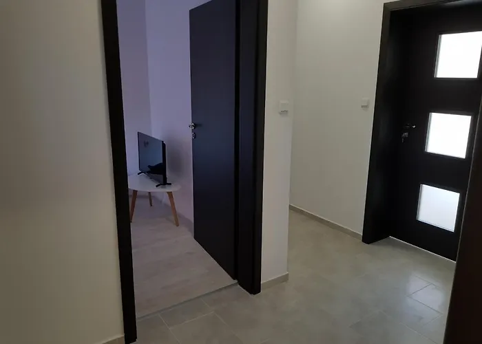 Alexandra Gæstehus Opanets